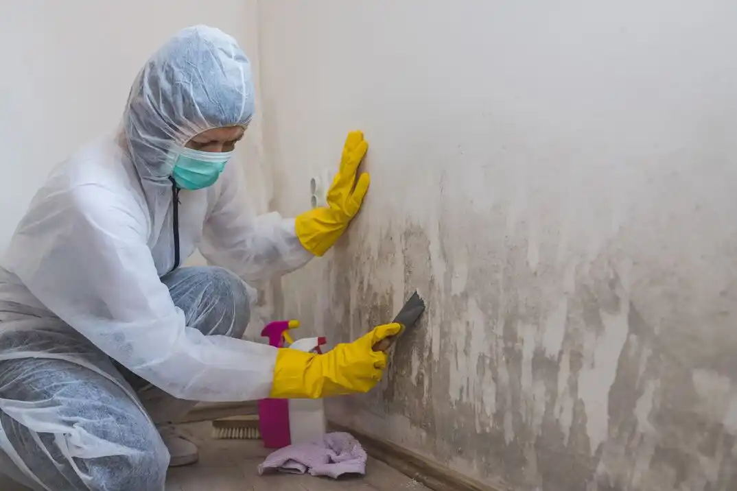 water damage restoration service Royal Oak Estates